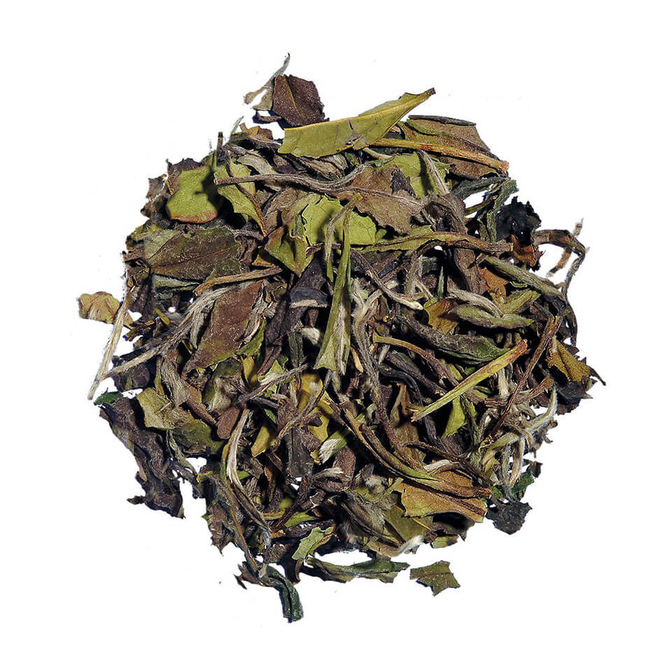 Young tea